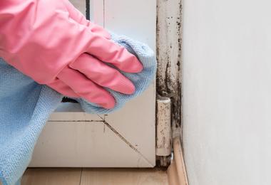 How to Remove and Prevent Black Mold on Windows