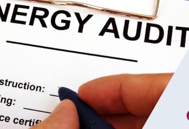 home-energy-audit-form