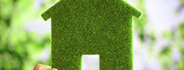 Eco-friendly Windows for Green Home