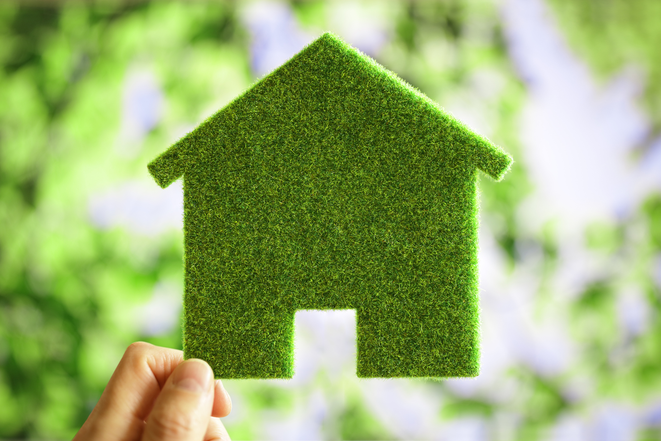 Eco-friendly Windows for Green Home in 2019