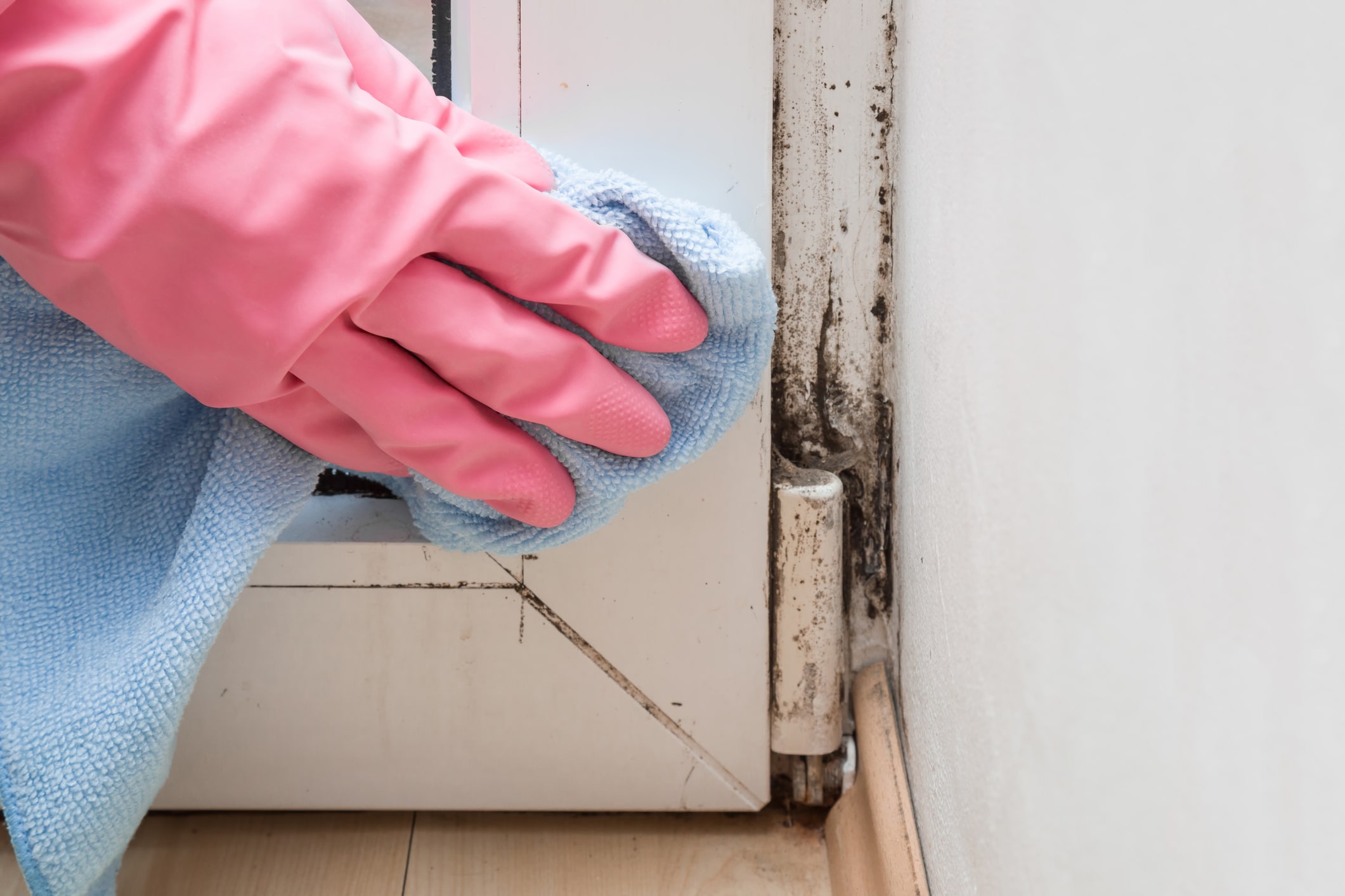 How to Remove and Prevent Black Mold on Windows