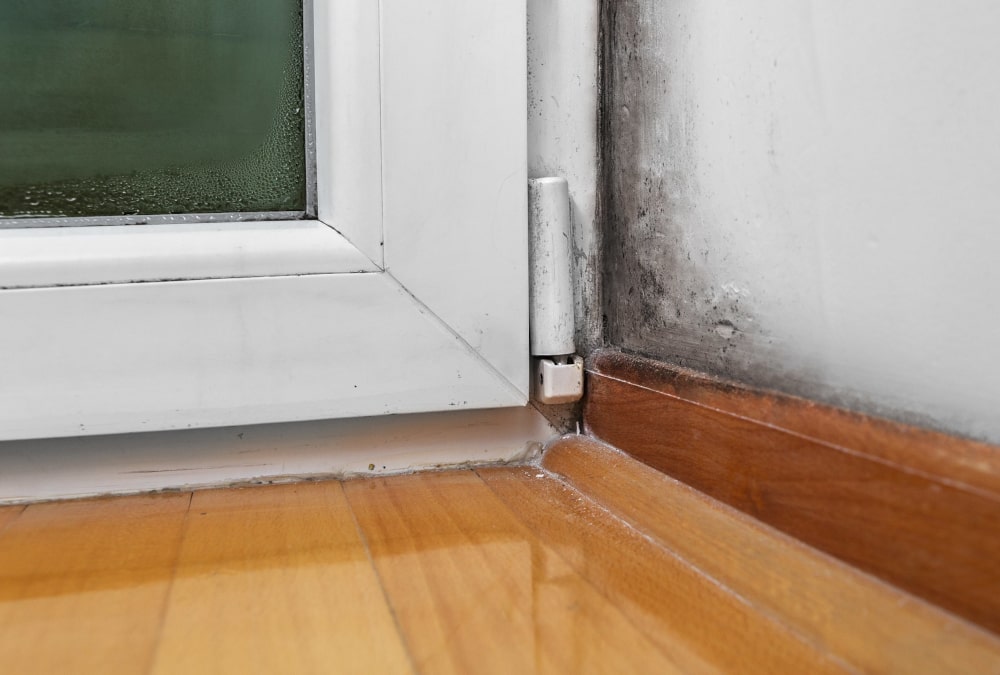 How to Remove Mould From Windows