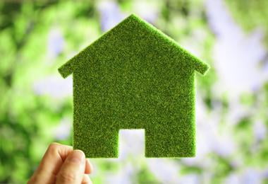 Eco-Friendly Windows Will Make Your Home Green