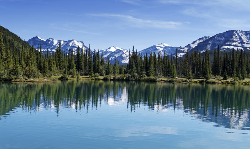 Replacement windows in Bragg Creek