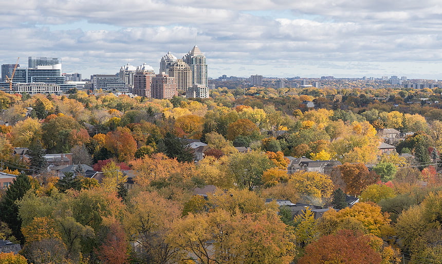 replacement windows in North York