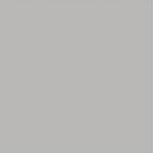 Gray Tint